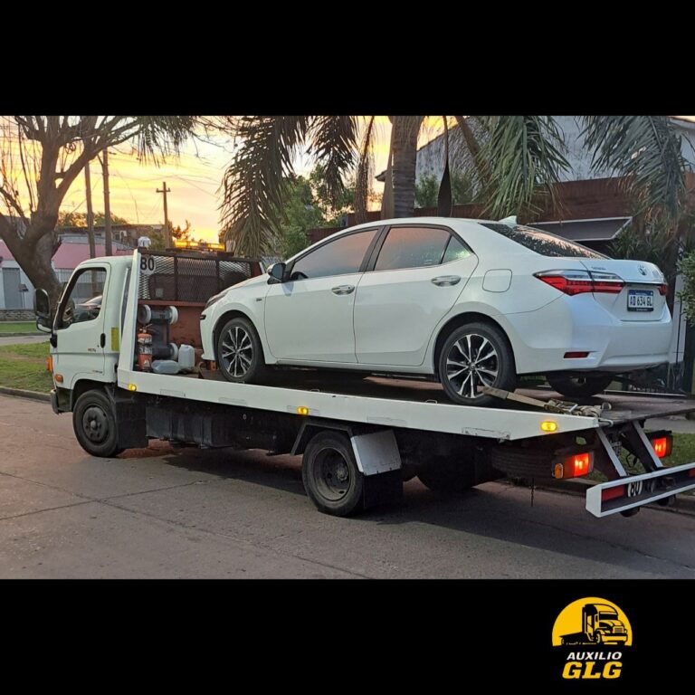 photo_3_2025-11-18_11-58-02